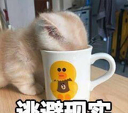 ohwell的个人资料头像