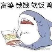 苏苏苏iscoding的个人资料头像