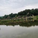 O床前明月光O头像