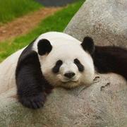 探索sg的个人资料头像