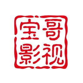 宝哥观世界头像