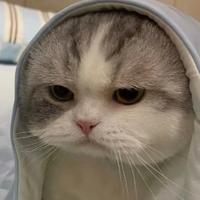 用户8120114818134头像