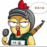 一往无前菜鸡大叔的粉丝头像