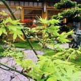 一起探讨宇宙头像