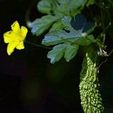 用户6526207507667头像