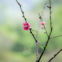 慢慢地学坏985头像
