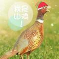 幻丿灭头像