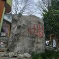 冬去春来头像