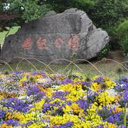 Scora_liu的个人资料头像