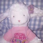 白万象的个人资料头像