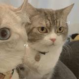 用户8293355222671头像