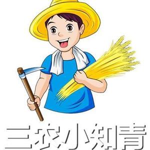 橙子聊人生头像