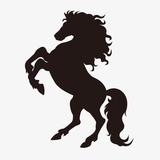 云深不知处2587头像