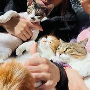 哈哈哈哈哈75的个人资料头像