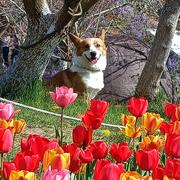 Grong的个人资料头像