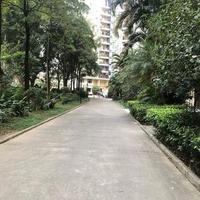 全家总动员头像