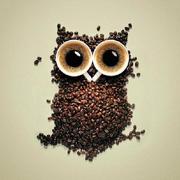 xmzDesign的个人资料头像