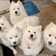 Jimmy732的个人资料头像