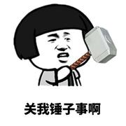 吃了西瓜子会长西瓜树的个人资料头像