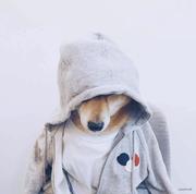 望阳的个人资料头像