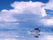 阿西x的个人资料头像