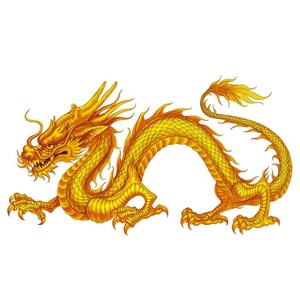 龙城书荟头像