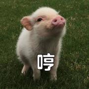 zyb的个人资料头像