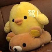 哺乳动物高质量IT工程师的个人资料头像