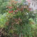 小灰灰42828头像