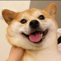 搞笑集中营0j68头像