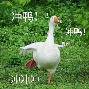 神仙公司的日常头像