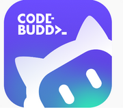 CodeBuddy的个人资料头像