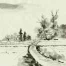 Mr_sun的个人资料头像