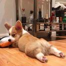 Ethan就是我63842的个人资料头像