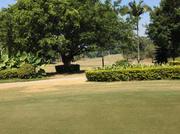 gavin808的个人资料头像