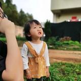 Aaron文511头像