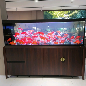 睿美水族鱼缸头像