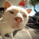 就是我55539的个人资料头像