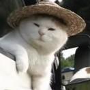 酱83725的个人资料头像