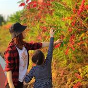 大瑞73的个人资料头像