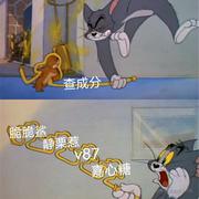 拉胯小向晚的个人资料头像