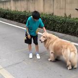 用户79184027头像