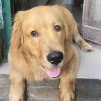 贫僧法号贼浪头像