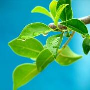 秋水_qi的个人资料头像