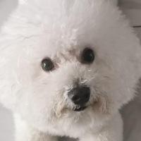 生活的世界头像