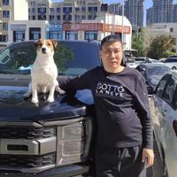 毛豆老李李拜天头像