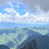 奇妙柳叶Uk头像