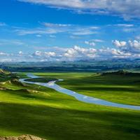 随缘5038539919811头像