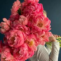 白月光花坊头像