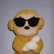 x5的个人资料头像